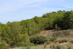 Grupo Mineralógico de Alicante.Mina San Antonio.  Cehegin. Murcia  