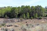 Grupo Mineralógico de Alicante.Mina San Antonio.  Cehegin. Murcia  