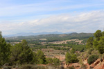 Grupo Mineralógico de Alicante. Mina San Antonio.  Cehegin. Murcia  