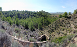 Grupo Mineralógico de Alicante. Mina San Antonio.  Cehegin. Murcia  