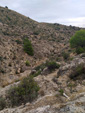 Grupo Mineralógico de Alicante. Barranco del Piscalejo. Caravaca de la Cruz. Murcia  