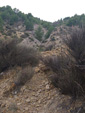 Grupo Mineralógico de Alicante. Barranco del Piscalejo. Caravaca de la Cruz. Murcia 