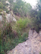 Grupo Mineralógico de Alicante. Barranco del Piscalejo. Caravaca de la Cruz. Murcia 