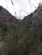 Grupo Mineralógico de Alicante. Barranco del Piscalejo. Caravaca de la Cruz. Murcia 