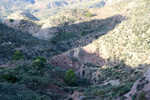 Grupo Mineralógico de Alicante. Explotación de Ofitas Los Serranos. Hondón de los Frailes. Alicante   