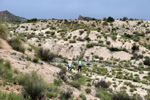 Grupo Mineralógico de Alicante. Ulea.  Murcia  