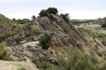 Grupo Mineralógico de Alicante. Ulea.  Murcia  