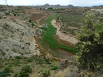 Grupo Mineralógico de Alicante. Ulea.  Murcia  