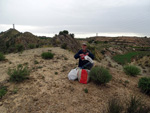 Grupo Mineralógico de Alicante. Ulea.  Murcia  