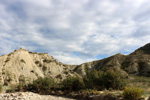 Grupo Mineralógico de Alicante.  Ópalo con Dendritas.Ulea.  Murcia 