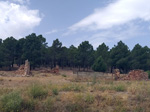 Grupo Mineralógico de Alicante. Collado de la Plata. ALbarracín. Teruel 