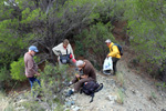 Grupo Mineralógico de Alicante. Explotación de ofitas en la Sierra de Oltra. Calpe.  Alicante   