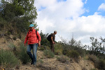 Grupo Mineralógico de Alicante.Explotación de ofitas en la Sierra de Oltra. Calpe.  Alicante   