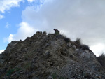 Grupo Mineralógico de Alicante. Explotación de ofitas en la Sierra de Oltra. Calpe.  Alicante  