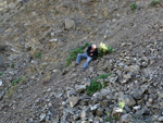 Grupo Mineralógico de Alicante. Explotación de ofitas en la Sierra de Oltra. Calpe.  Alicante  