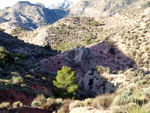 Grupo Mineralógico de Alicante.Sierra de Albatera. Hondón de los Frailes. Alicante   