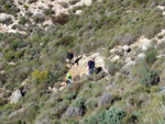 Grupo Mineralógico de Alicante.Sierra de Albatera. Hondón de los Frailes. Alicante  