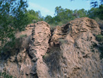 Grupo Mineralógico de Alicante. Antiguas explotaciones de yesos del Mesiniense en Benejuzar. Alicante  