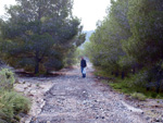 Grupo Mineralógico de Alicante. Antiguas explotaciones de yesos del Mesiniense en Benejuzar. Alicante  