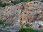 Grupo Mineralógico de Alicante. Antiguas explotaciones de yesos del Mesiniense en Benejuzar. Alicante  