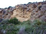 Grupo Mineralógico de Alicante. Antiguas explotaciones de yesos del Mesiniense en Benejuzar. Alicante  