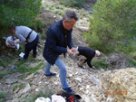 Grupo Mineralógico de Alicante.Antiguas explotaciones de yesos del Mesiniense en Benejuzar. Alicante  