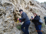 Grupo Mineralógico de Alicante.  Ópalo con Dendritas.Antiguas explotaciones de yesos del Mesiniense en Benejuzar. Alicante 