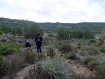 Grupo Mineralógico de Alicante. Antiguas explotaciones de yesos del Mesiniense en Benejuzar. Alicante 