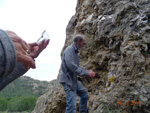 Grupo Mineralógico de Alicante.  Ópalo con Dendritas.Antiguas explotaciones de yesos del Mesiniense en Benejuzar. Alicante 