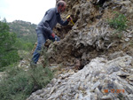 Grupo Mineralógico de Alicante. Antiguas explotaciones de yesos del Mesiniense en Benejuzar. Alicante  