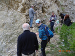 Grupo Mineralógico de Alicante. Antiguas explotaciones de yesos del Mesiniense en Benejuzar. Alicante  