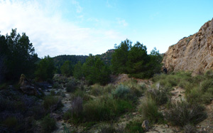 Grupo Mineralógico de Alicante. Antiguas explotaciones de yesos del Mesiniense en Benejuzar. Alicante  