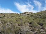 Grupo Mineralógico de Alicante. Barranco las Nogueras. Campos de Golf. Portman. Murcia  