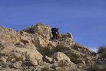 Grupo Mineralógico de Alicante. Cantera Casablanca. San Vicente del Raspeig. Alicante  