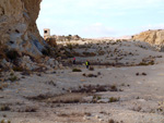 Grupo Mineralógico de Alicante. Cantera Casablanca. San Vicente del Raspeig. Alicante 