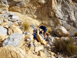 Grupo Mineralógico de Alicante. Cantera Casablanca. San Vicente del Raspeig. Alicante