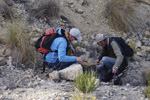 Grupo Mineralógico de Alicante. Cantera Casablanca. San Vicente del Raspeig. Alicante