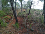 Grupo Mineralógico de Alicante. Reales Fábricas de Alcaraz. Riopar. Albacete  