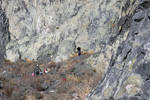 Grupo Mineralógico de Alicante. Los Serranos. Hondón de los Frailes. Alicante 