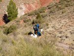 Grupo Mineralógico de Alicante.Los Serranos. Hondón de los Frailes. Alicante 