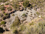 Grupo Mineralógico de Alicante.Los Barrancos. Camporrobles. Valencia 