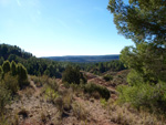 Grupo Mineralógico de Alicante.Los Barrancos. Camporrobles. Valencia 