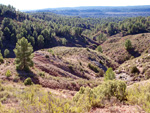 Grupo Mineralógico de Alicante.Los Barrancos. Camporrobles. Valencia 