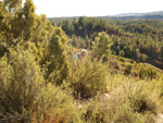 Grupo Mineralógico de Alicante.Los Barrancos. Camporrobles. Valencia 