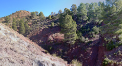 Grupo Mineralógico de Alicante.Los Barrancos. Camporrobles. Valencia  