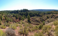 Grupo Mineralógico de Alicante.Los Barrancos. Camporrobles. Valencia  