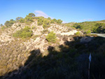 Grupo Mineralógico de Alicante.Sierra de Albatera. Alicante  