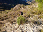 Grupo Mineralógico de Alicante.Sierra de Albatera. Alicante  