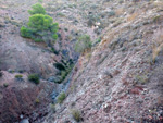 Grupo Mineralógico de Alicante.Sierra de Albatera. Alicante  