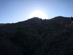 Grupo Mineralógico de Alicante.Sierra de Albatera. Alicante  